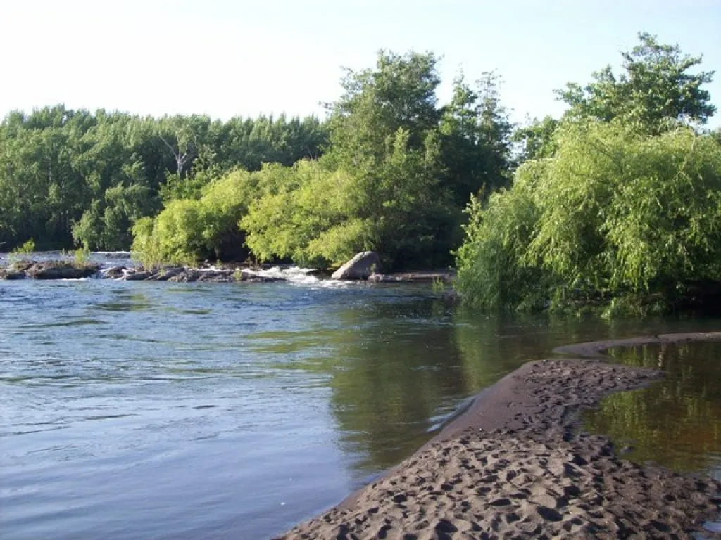 Río Laja con vegetación nativa en Camping Los Álamos, Saltos del Laja